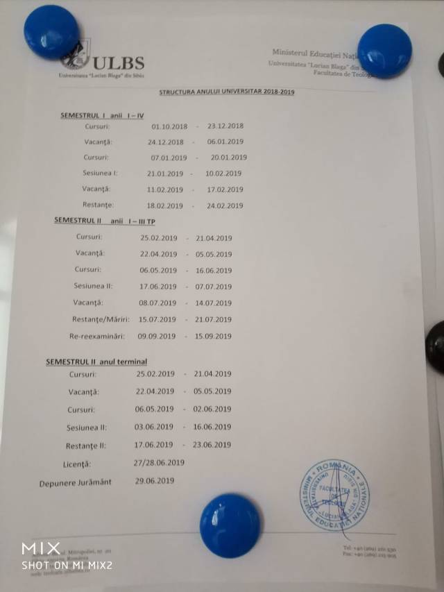 Structura anului 2018-2019